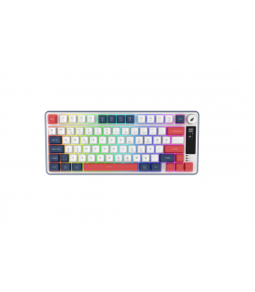 Hawk Gaming HK255BR Membrane LCD RGB Kablosuz/Bluetooth Mavi Kırmızı %75 Türkçe Gaming Klavye